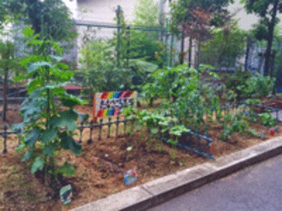 住宅型有料老人ホームたなごころ毛穴（介護職/ヘルパーの求人）の写真9枚目：