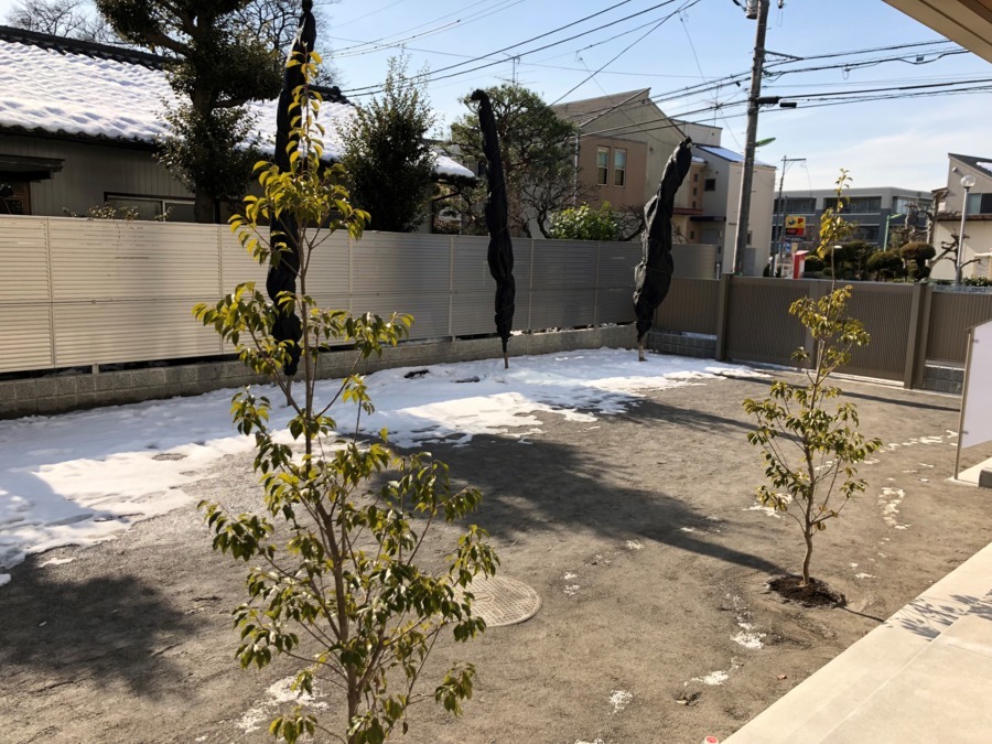 ピノキオ幼児舎　芦花保育園の写真18枚目：