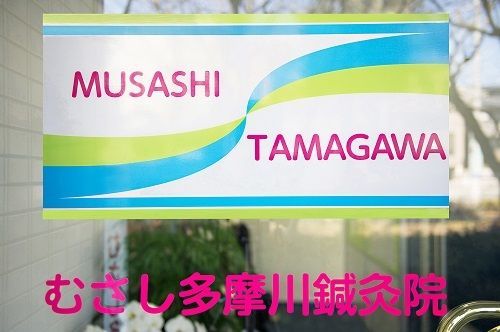 むさし多摩川鍼灸院の写真