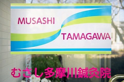 むさし多摩川鍼灸院の写真1枚目：患者様を第一に施術を行っている鍼灸院です！