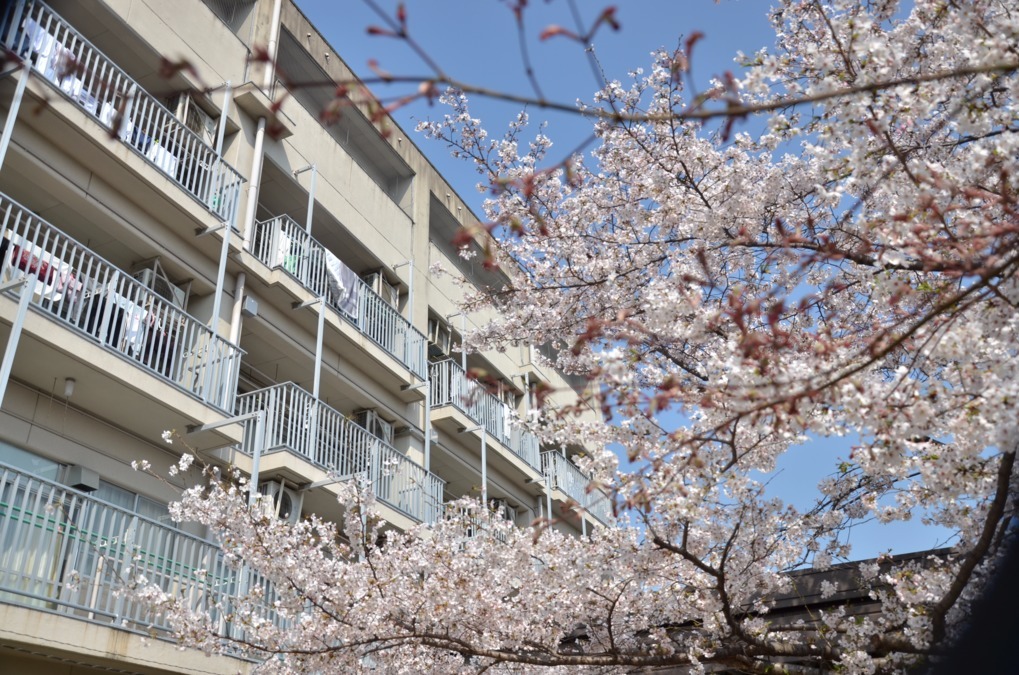 ホームヘルプセンター城東すみれの写真