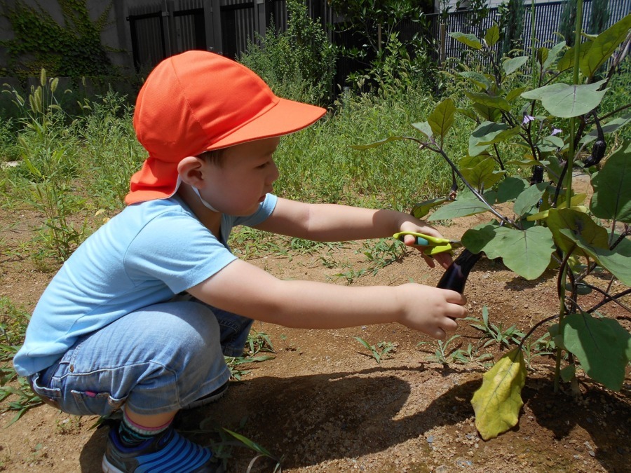 モニカ人形町園（管理栄養士/栄養士の求人）の写真2枚目：