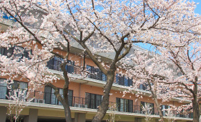 介護老人保健施設東京さくらメディケアセンターの写真2枚目：春にはきれいな桜が咲きます