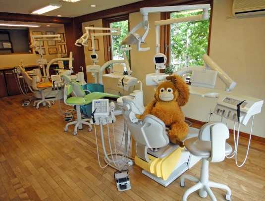 レイラ歯科・小児歯科(歯科助手の求人)の写真4枚目:ユニットは世界最高水準、ドイツ・カボ社製です。窓からは光と白樺の緑がふりそそぎます。