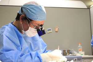 伊藤歯科医院の写真4枚目:丁寧に指導致しますので、ご安心ください!