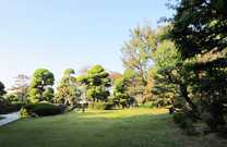 歯科山崎の写真3枚目：治療室の目の前には日本庭園が広がっています
