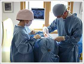 池田歯科医院の写真4枚目:インプラント・矯正は専門医が担当しております。