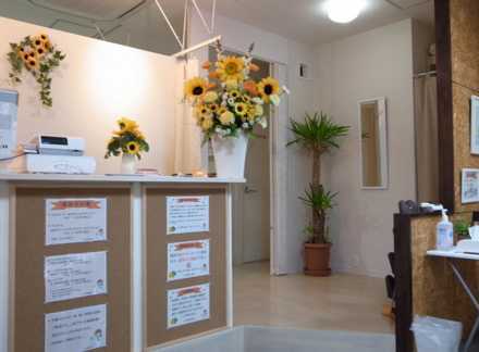 ハルク整骨院 新松戸の写真4枚目: