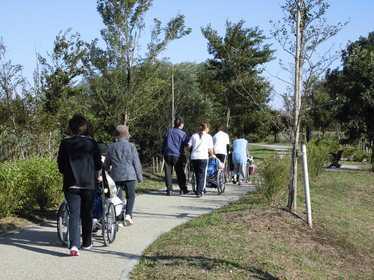 あすなろホーム越谷【デイサービス】の写真2枚目:天気の良い日には積極的に外出し、体を動かしていただいています