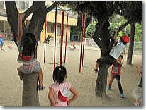 西寺尾保育園の写真3枚目：自然あふれる環境です