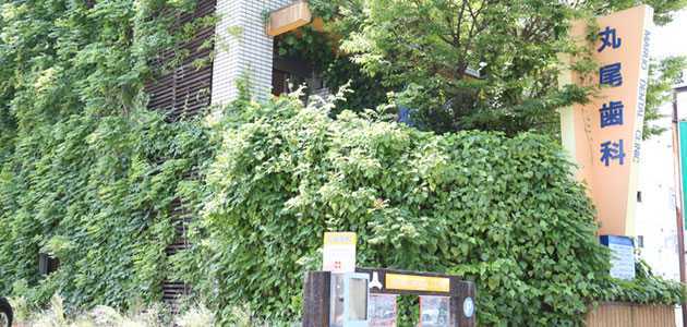 医療法人丸尾歯科(歯科衛生士の求人)の写真:自然派の院長の「少しでも環境に良いように」との思いから緑化にも取り組んでいます