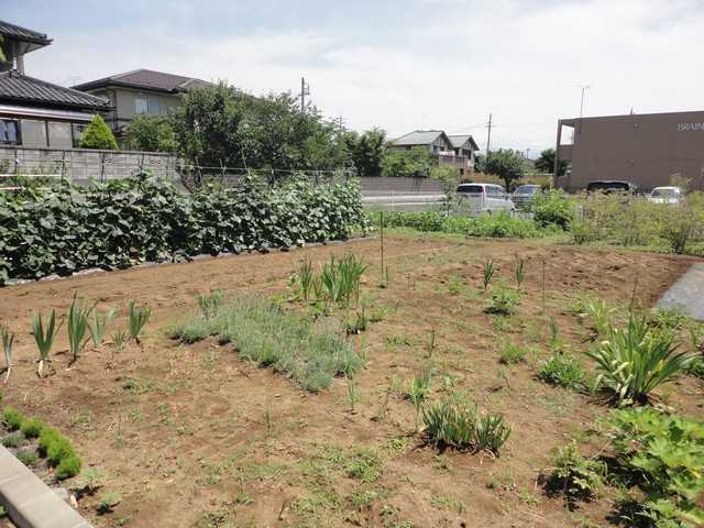 デイサービスセンター ノーマライ尾張部の写真3枚目:畑作業も行える自然豊かで静かな環境です