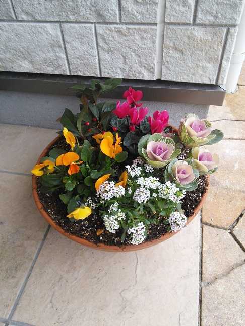 トルチェ井高野【夜勤専従】の写真8枚目：いつも温かくお客様をお迎えします