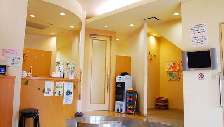 おがわ歯科の写真4枚目:きれいで明るい雰囲気の医院です。