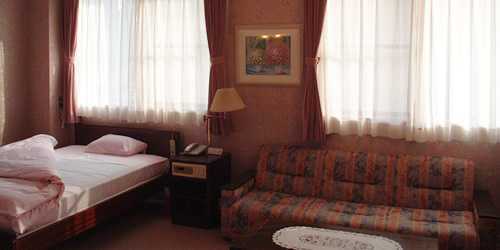 出口医院レディースクリニックの写真3枚目:ゆったりと落ち着いた雰囲気の病室