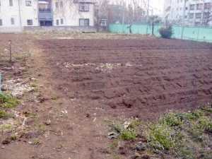 グループホームすずらんの写真3枚目:利用者様と一緒に家庭菜園も行っています