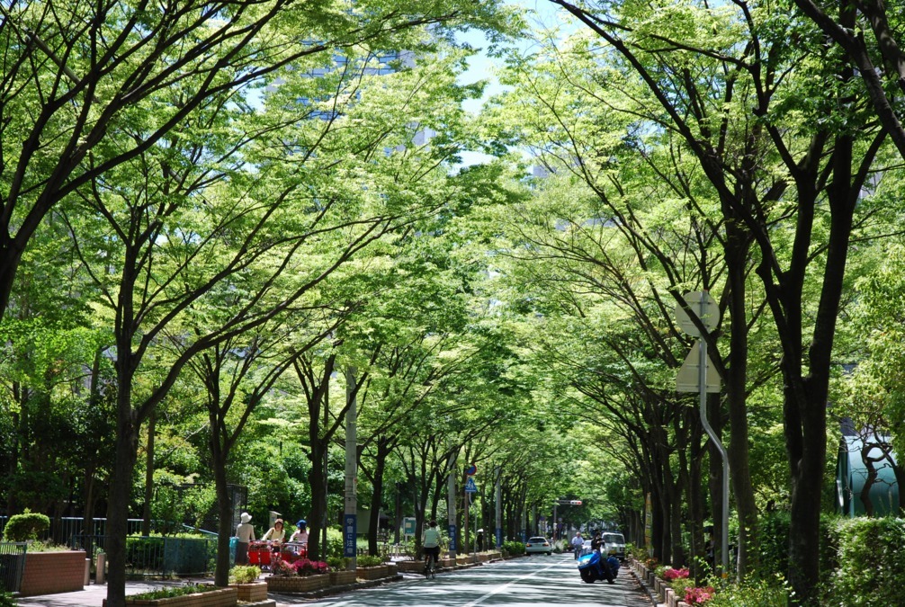 幼保連携型認定こども園ポートピア（調理師/調理スタッフの求人）の写真4枚目：