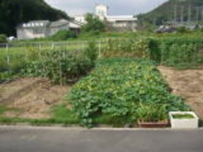 あいあいえんデイサービスセンターの写真4枚目:菜園での収穫など、レクリエーションも盛んです