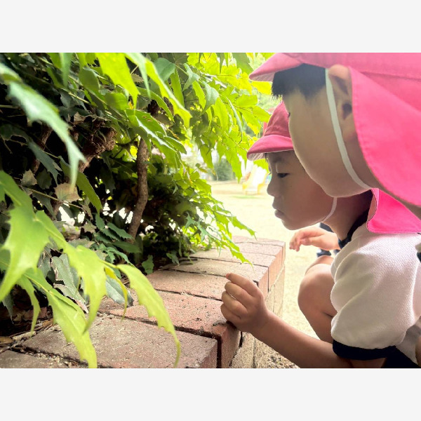 フェアリーキッズ保育園 五月が丘北（保育士の求人）の写真4枚目：