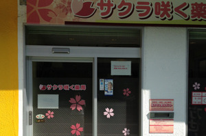 サクラ咲く薬局の写真