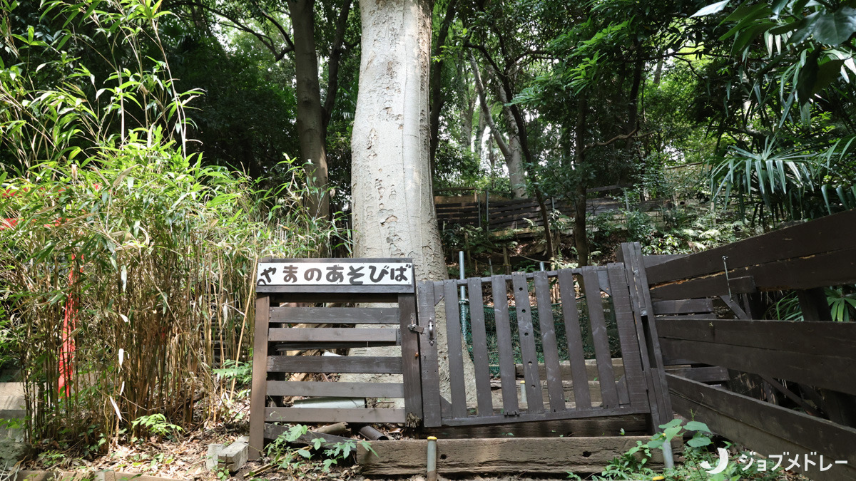和田愛児園の写真5枚目：園の敷地内には裏山があります♪