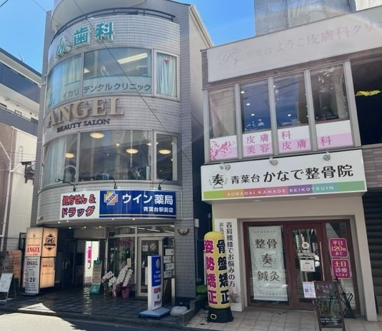 ウイン薬局横浜青葉台駅前店の写真