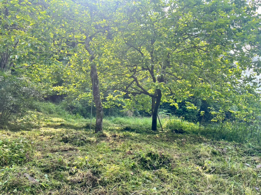 サードプレイス・シード（作業療法士の求人）の写真3枚目：