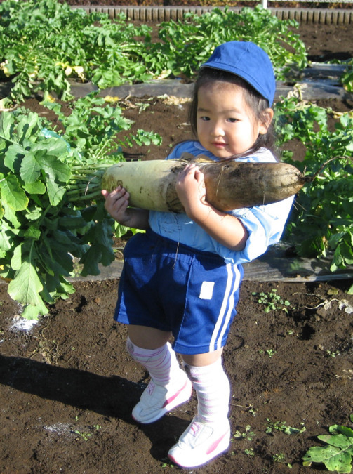 前沢幼稚園（幼稚園教諭の求人）の写真3枚目：