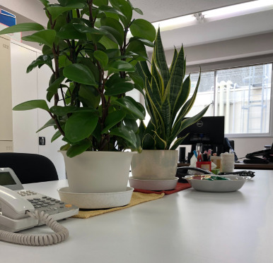 株式会社ジョイントリンク 京都事業所の写真