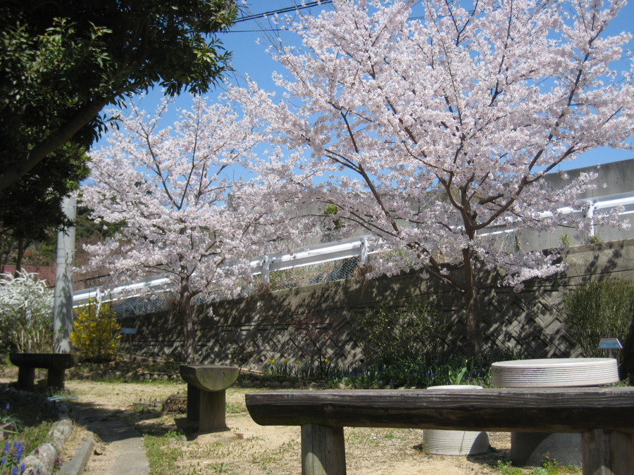 デイサービスリバティーの写真4枚目：天気の良い日には敷地内公園でレクリエーションも行います