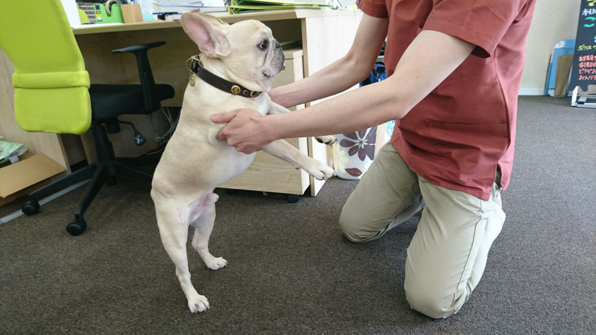 ころんず訪問看護ステーション（看護師/准看護師の求人）の写真2枚目：