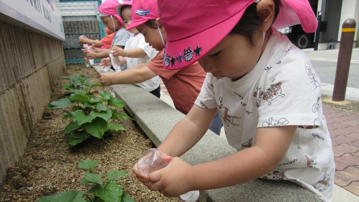ニチイキッズ深江橋保育園 （保育士の求人）の写真4枚目：