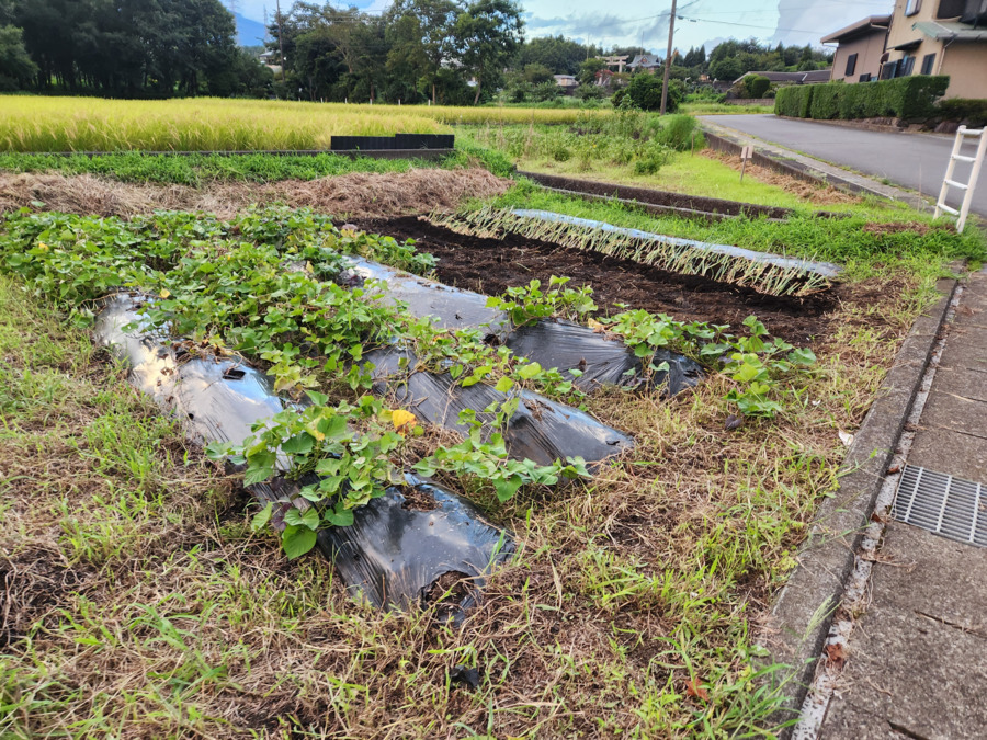 富士岡地域福祉事業所　みんなの家（児童指導員/指導員の求人）の写真3枚目：