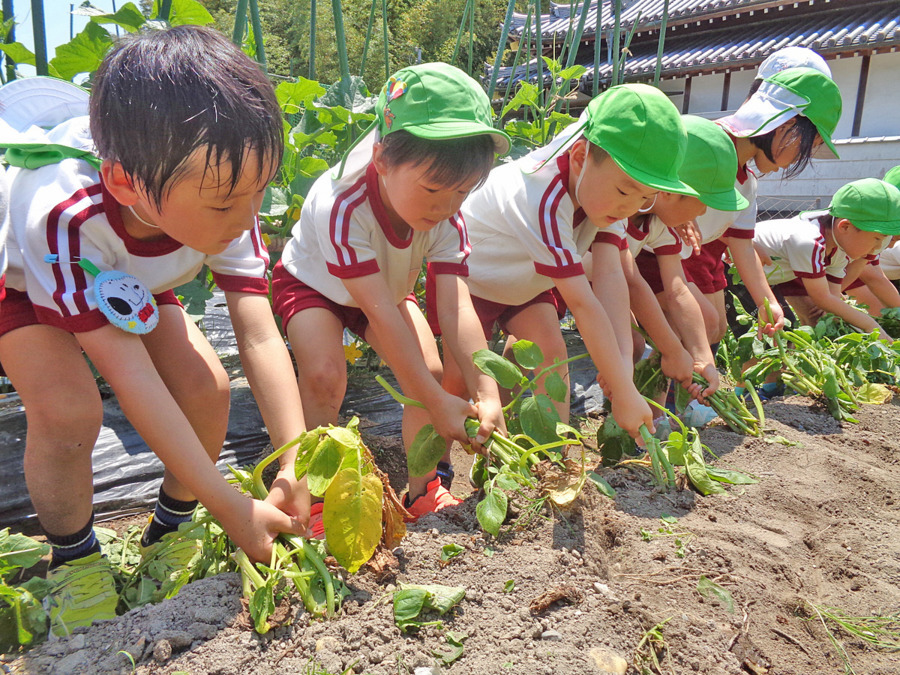幼保連携型認定こども園　出合保育園（保育補助の求人）の写真5枚目：