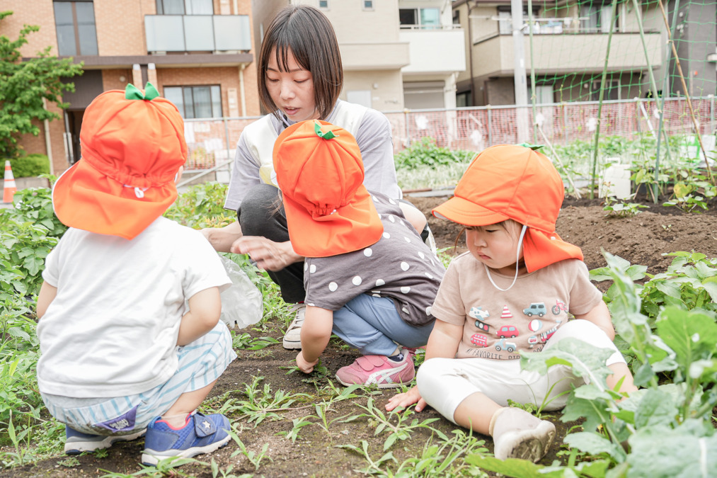第二ゆりの花保育園（保育補助の求人）の写真11枚目：