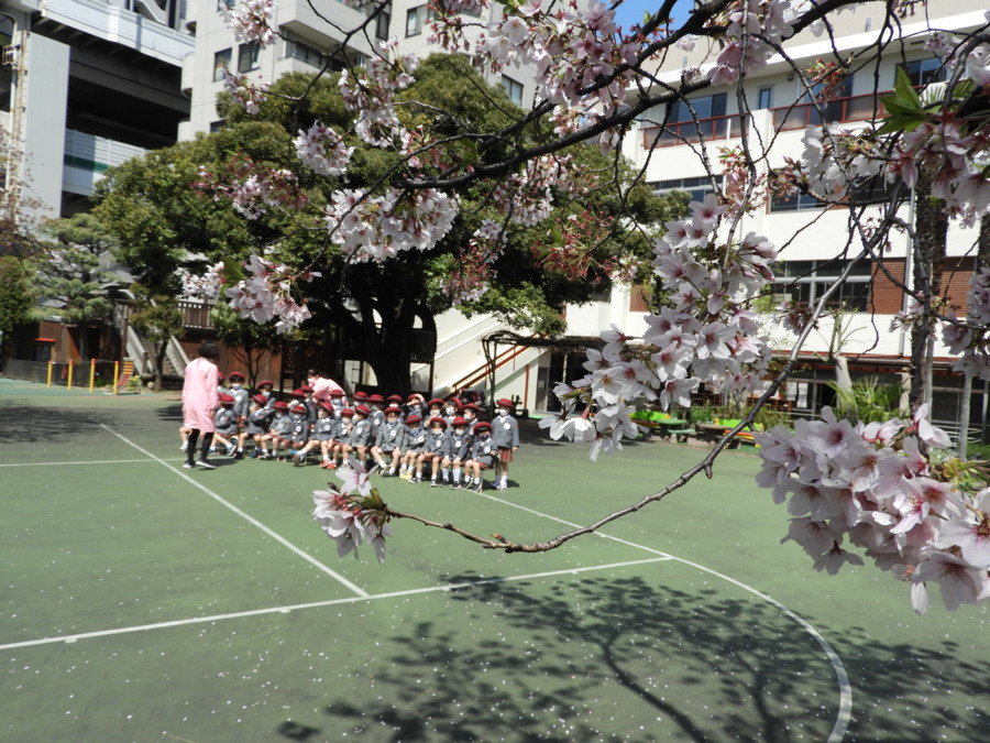 落合幼稚園の写真
