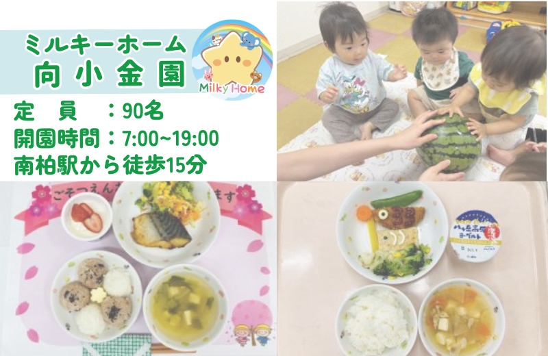 ミルキーホーム向小金園（保育士の求人）の写真4枚目：