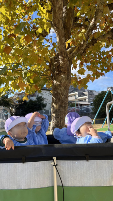 Shiny Kidsフォルテの写真12枚目：