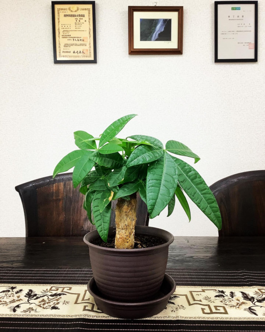 児童発達支援レオの写真