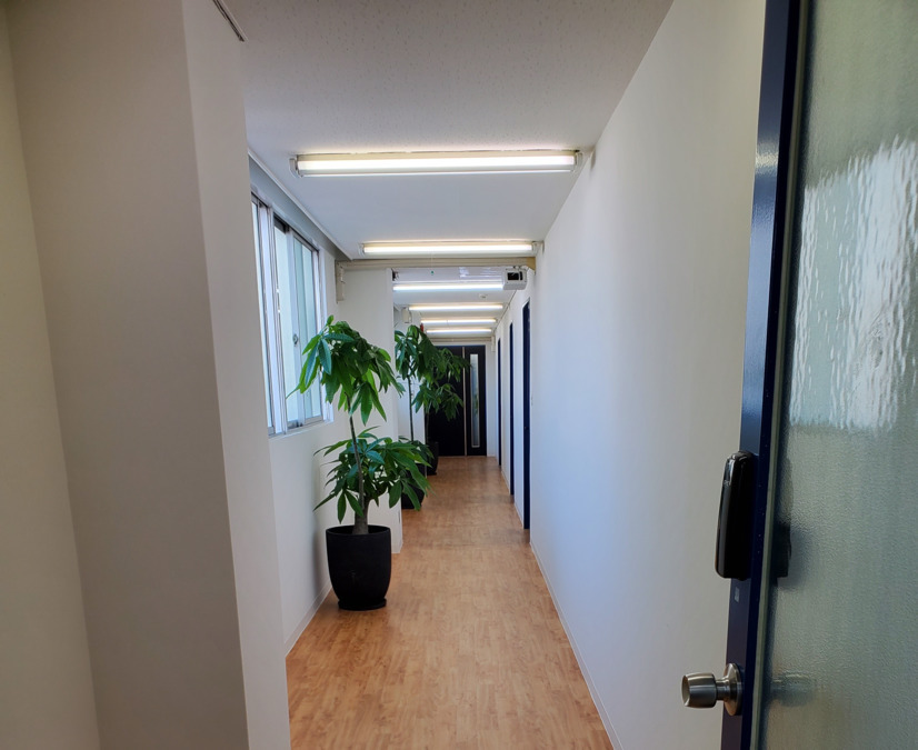株式会社ウィズケア（本社）の写真3枚目：部屋や廊下に緑がいっぱいで癒されます♪