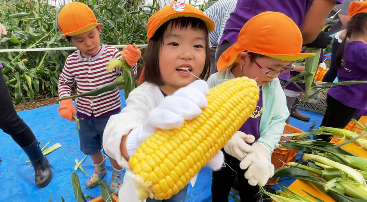 リトルガーデン幕張本郷(保育士の求人)の写真2枚目: