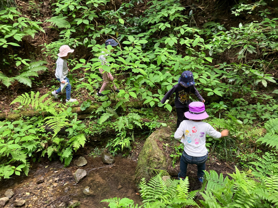 ありんこ保育園（保育補助の求人）の写真3枚目：