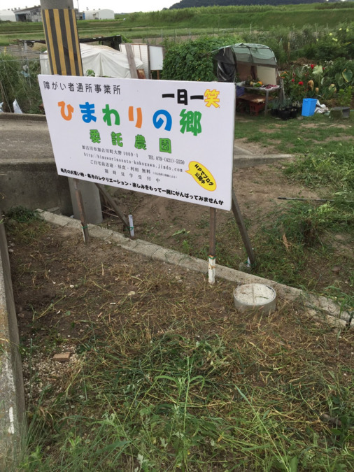 ひまわりの郷の写真: