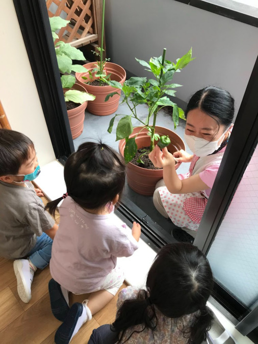 新ゆりかご保育園の写真7枚目：食育活動🌱子どもたちも興味深々❗️