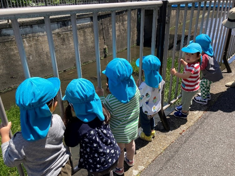 ほっぺるランド西荻窪（保育士の求人）の写真4枚目：善福寺川沿いの散歩では、カモや大きな魚に「やっほー！」と元気にご挨拶