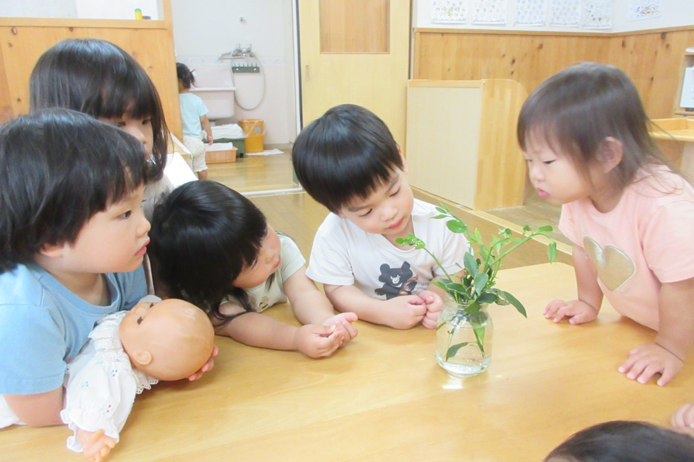 祥豊保育園（保育士の求人）の写真2枚目：