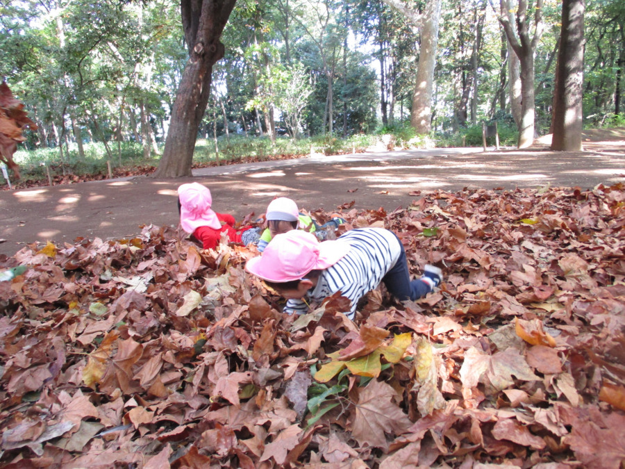 不動さつき保育園(調理師/調理スタッフの求人)の写真4枚目: