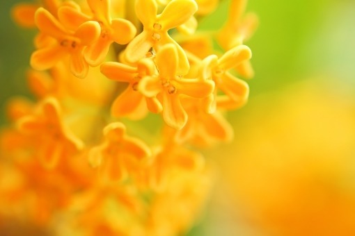 特別養護老人ホームはぎの郷の写真