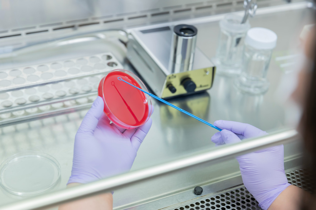 大阪府済生会茨木病院（臨床検査技師の求人）の写真3枚目：