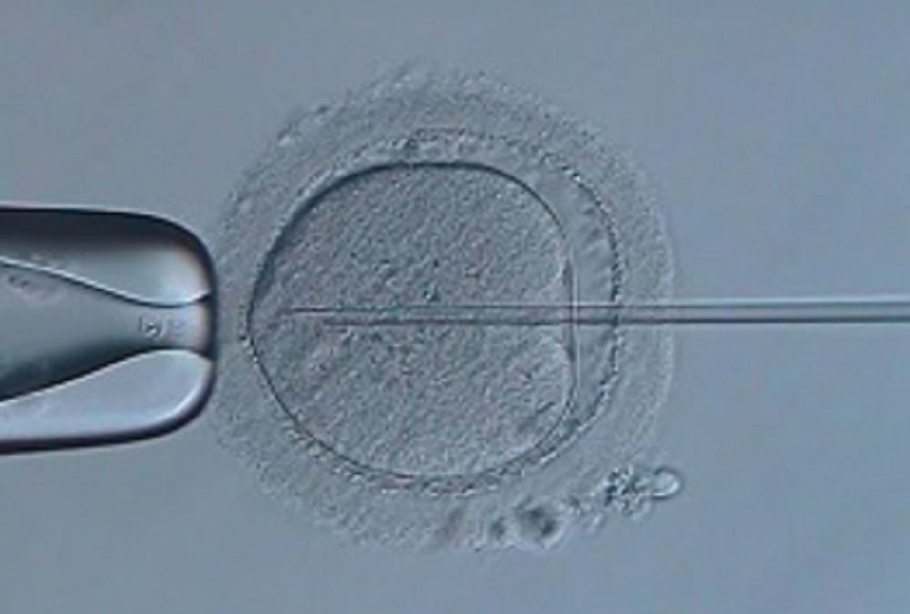 浅田レディース品川クリニック(医療事務/受付の求人)の写真2枚目: